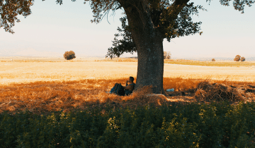 Man sitting by tree