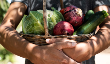 Someone holding fruit