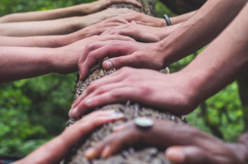 Ashoka hands